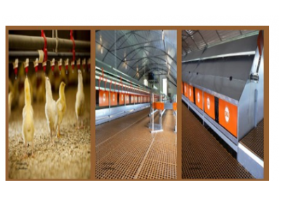 گروه صنعتی تک طیور تولید کننده قفس های اتوماتیک و نیمه اتوماتیک ( تخمگذار و گوشتی )